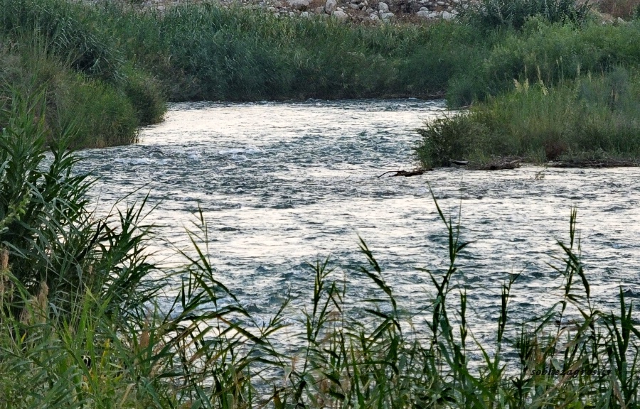 افزایش کیفیت آب رودخانه زهره با بهره‌برداری از سد چمشیر