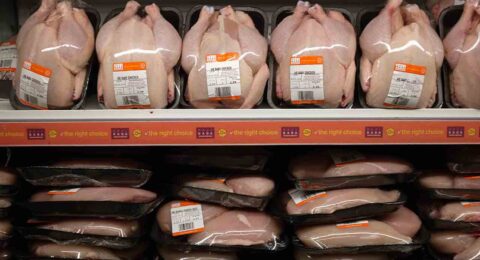 BRITAIN-ENVIRONMENT-FOOD-PLASTIC