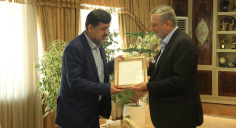 سید صولت مرتضوی